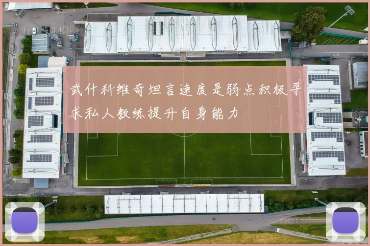 武什科维奇坦言速度是弱点积极寻求私人教练提升自身能力